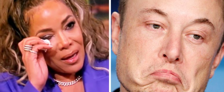 Sunny Hostin Walks Out Crying After Confronting Elon Musk On The View