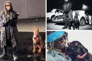 Lil Wayne’s Big Heart: Rapper Once Wanted to Save Them All by Adopting Entire Shelter