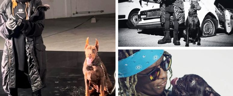 Lil Wayne’s Big Heart: Rapper Once Wanted to Save Them All by Adopting Entire Shelter